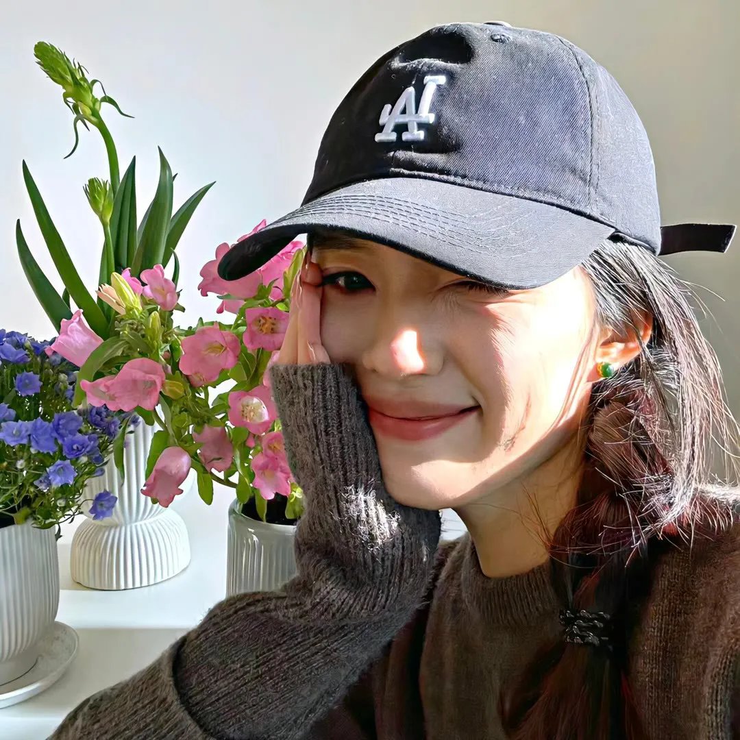 黑眉蚊